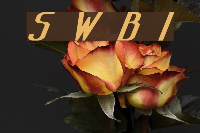 Sanity Wide Bold Italic Font examples