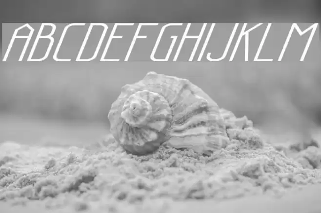 Sanity Wide Italic Polices examples