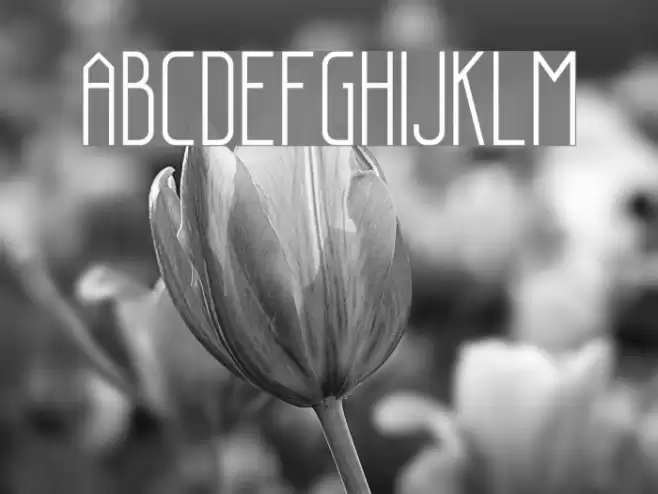 Sanity Font examples