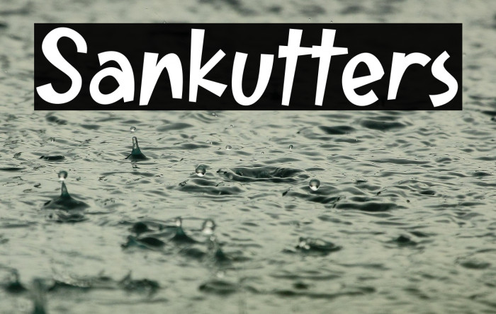 Sankutters Example 3