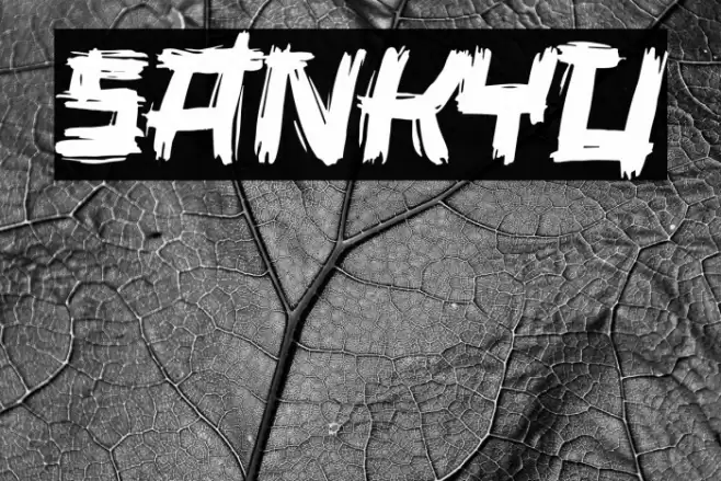 Sankyu Caratteri examples