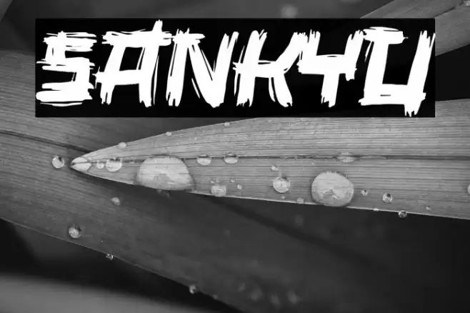 Sankyu Caratteri examples