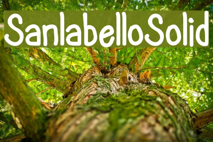 SanlabelloSolid Font examples