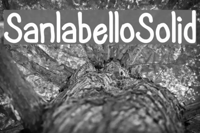 SanlabelloSolid examples