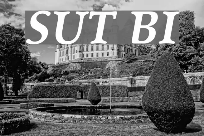 SanlioUT BoldItalic Font examples