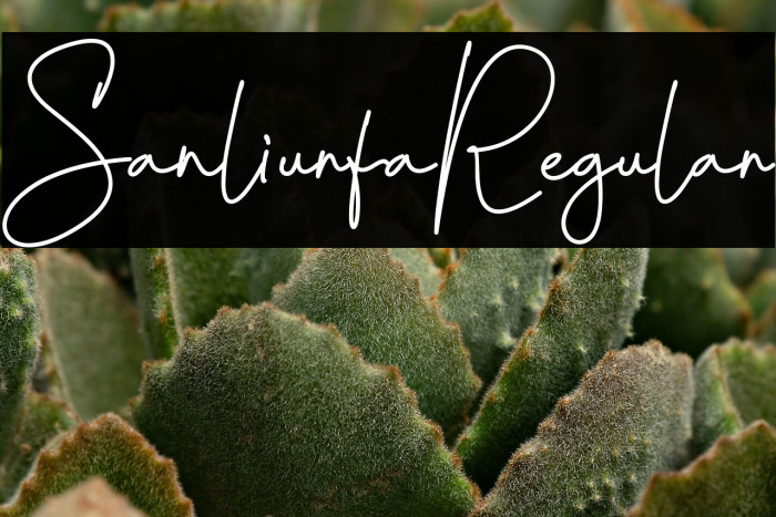 SanliurfaRegular Example 3