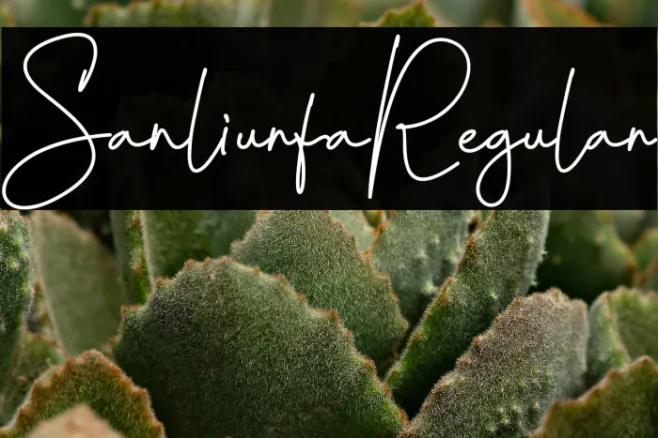 SanliurfaRegular Example 3