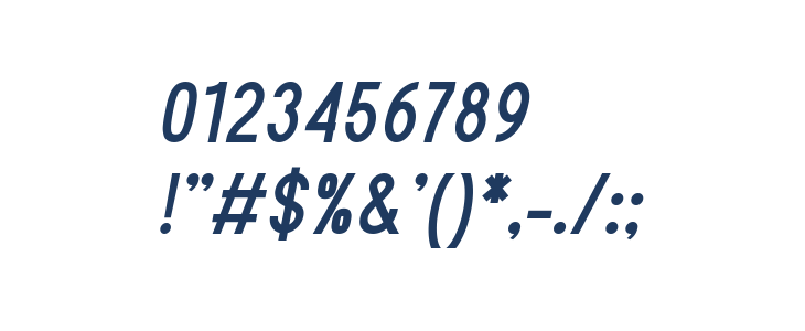 Sanlulus Bold Italic Other Characters