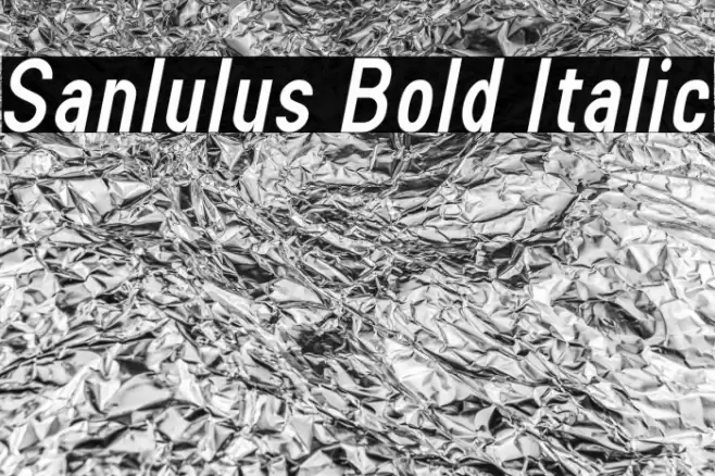 Sanlulus Bold Italic Font examples