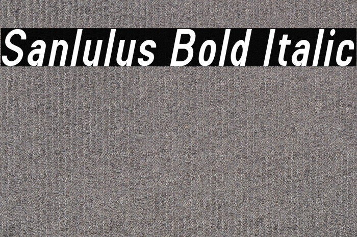 Sanlulus Bold Italic Example 2