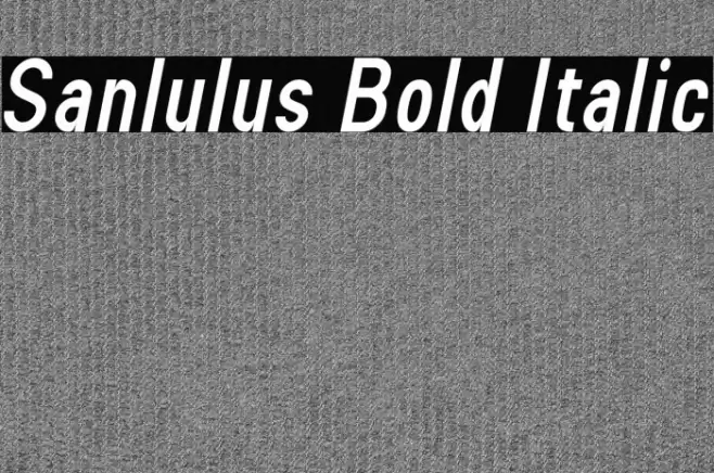 Sanlulus Bold Italic Font examples