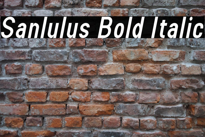 Sanlulus Bold Italic Example 3