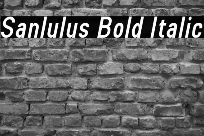 Sanlulus Bold Italic Font examples