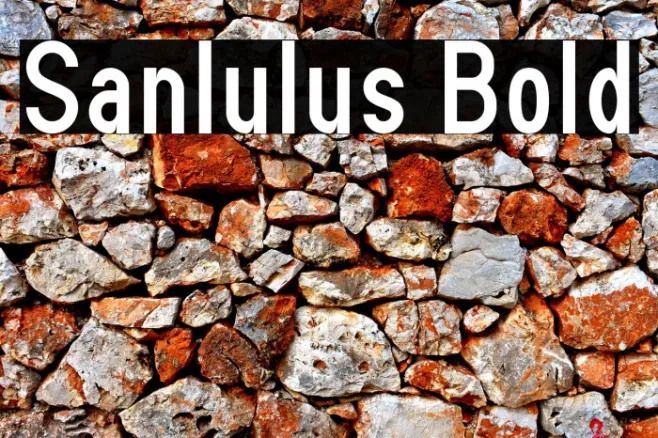 Sanlulus Bold Example 1