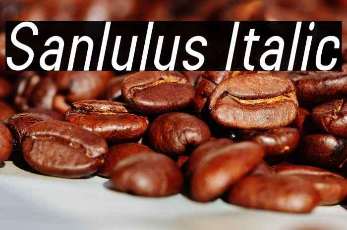 Sanlulus Italic Example 2