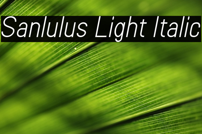 Sanlulus Light Italic Example 3