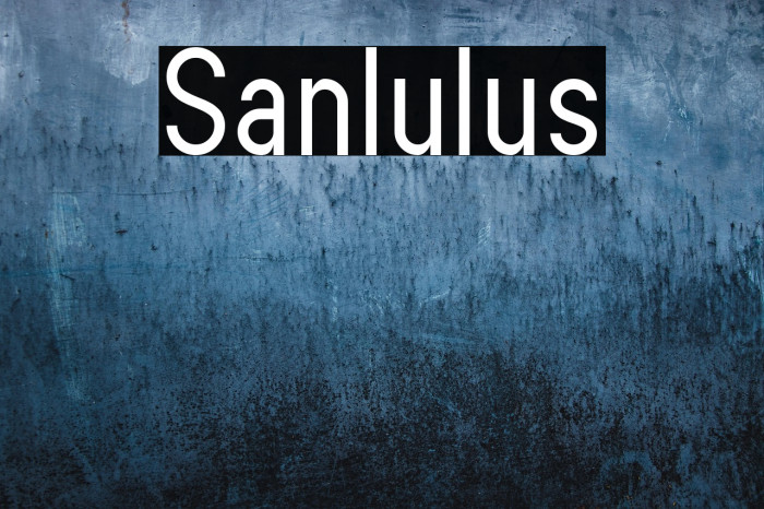 Sanlulus Example 1