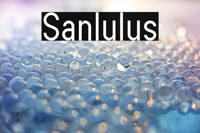 Sanlulus Example 3