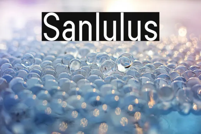 Sanlulus Example 3