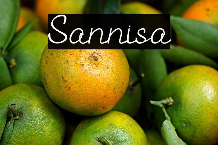 Sannisa Example 1