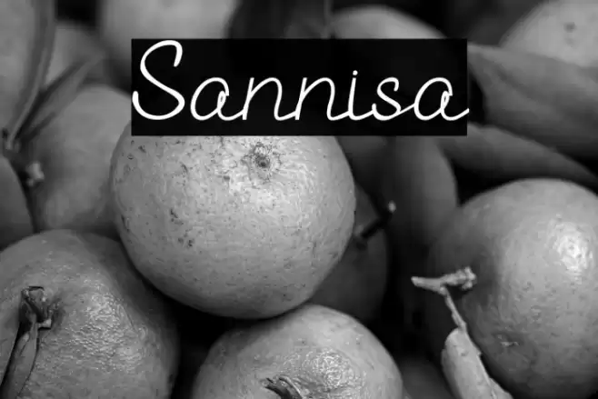 Sannisa Font examples