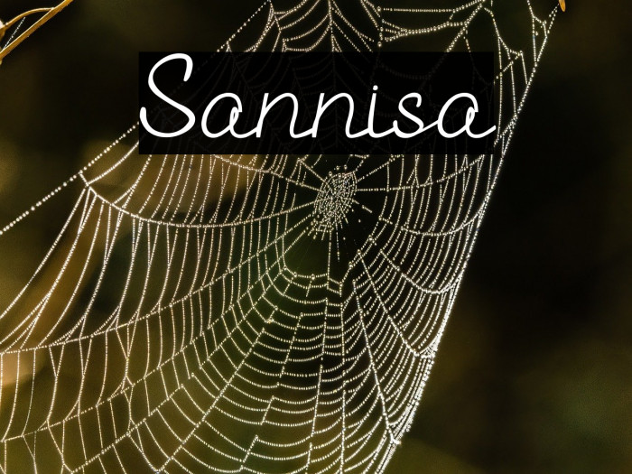 Sannisa Example 2