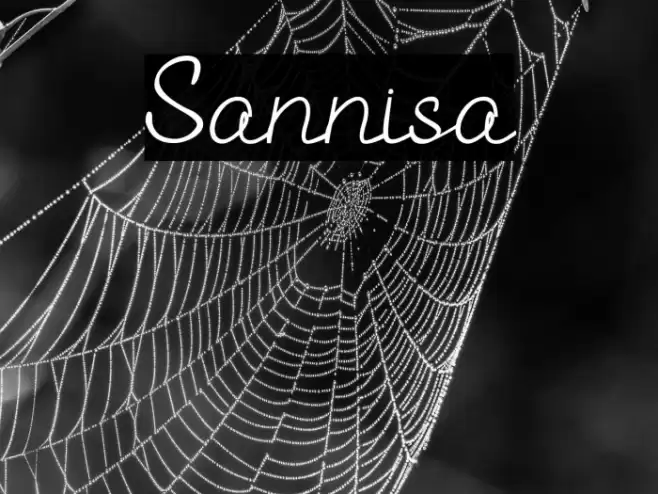 Sannisa Font examples