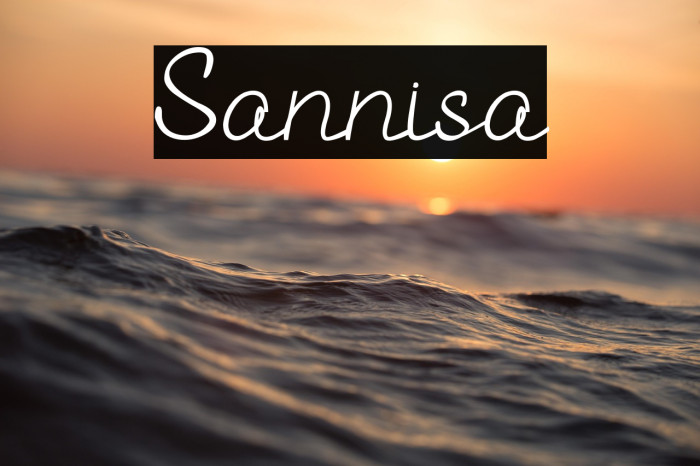 Sannisa Example 3