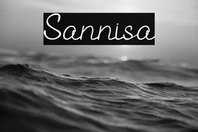 Sannisa Font examples