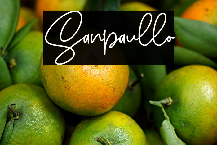 Sanpaullo Example 2