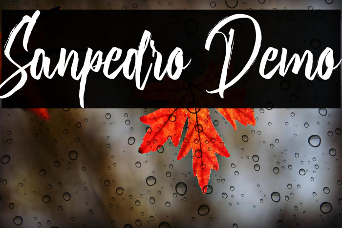 Sanpedro Demo Example 1