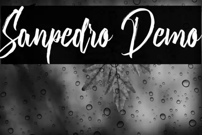 Sanpedro Demo Font examples
