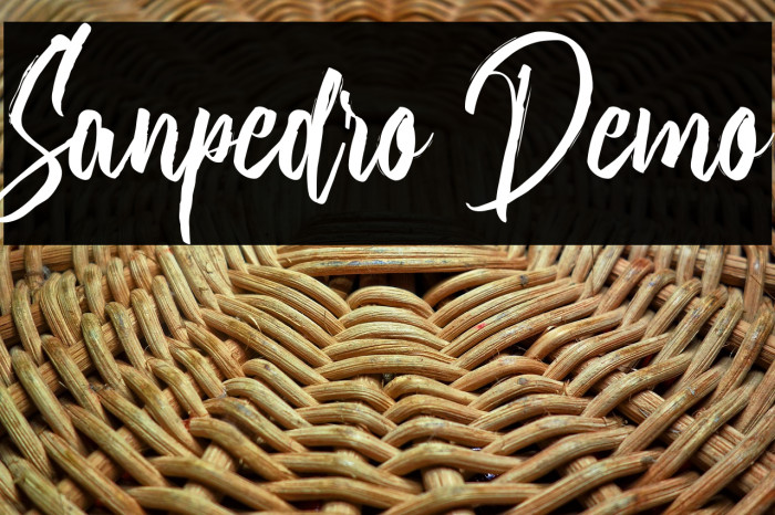 Sanpedro Demo Example 2