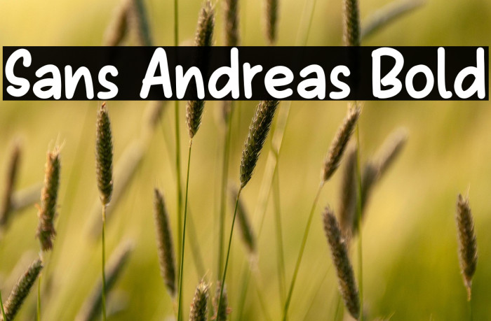 Sans Andreas Bold Example 3