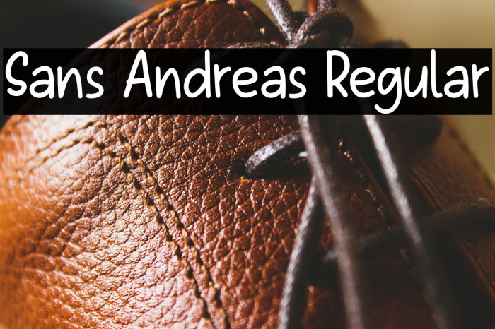 Sans Andreas Regular Example 2