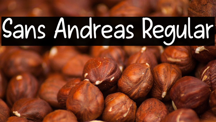 Sans Andreas Regular Example 3