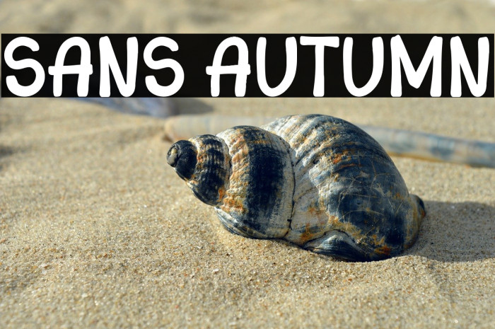 Sans Autumn Example 1