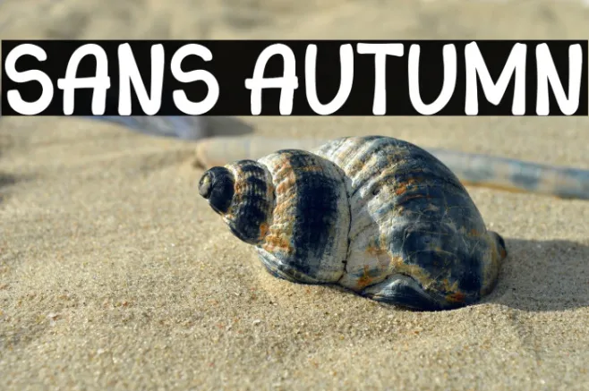 Sans Autumn Example 1