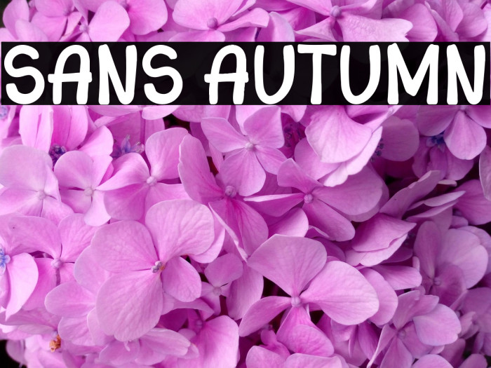 Sans Autumn Example 2