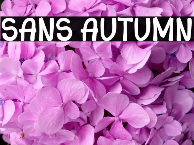 Sans Autumn Example 2