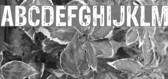 Sans Culottes Font examples