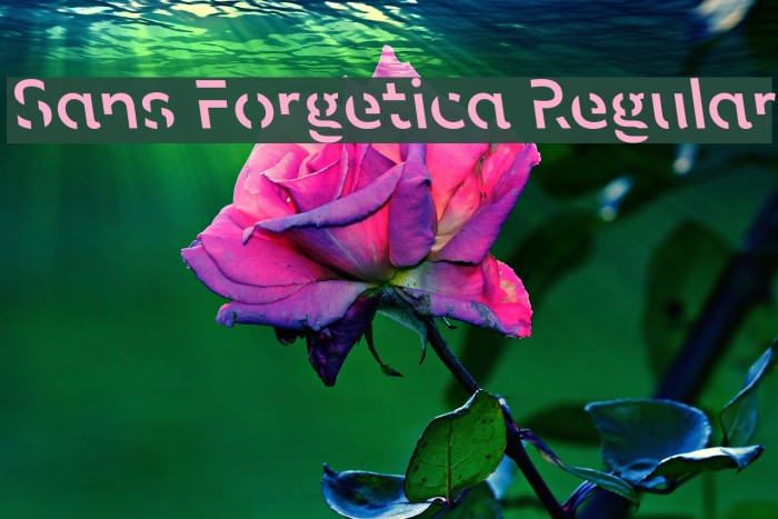 Sans Forgetica Regular Font examples