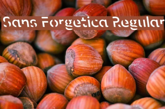Sans Forgetica Regular Example 3