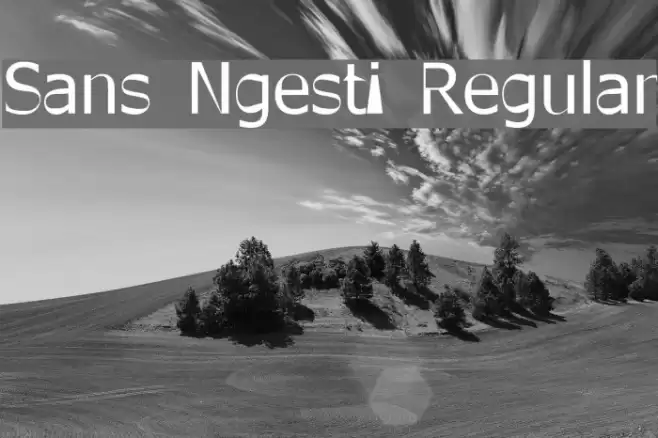 Sans Ngesti Regular Font examples