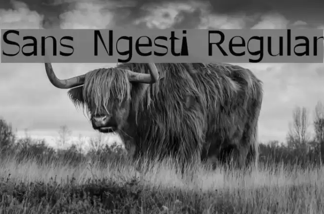 Sans Ngesti Regular Font examples