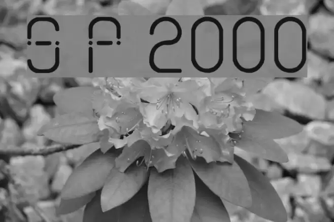 Sans Piru 2000 Fonte examples
