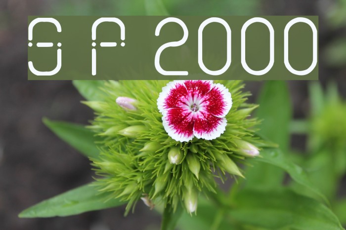 Sans Piru 2000 Caratteri examples