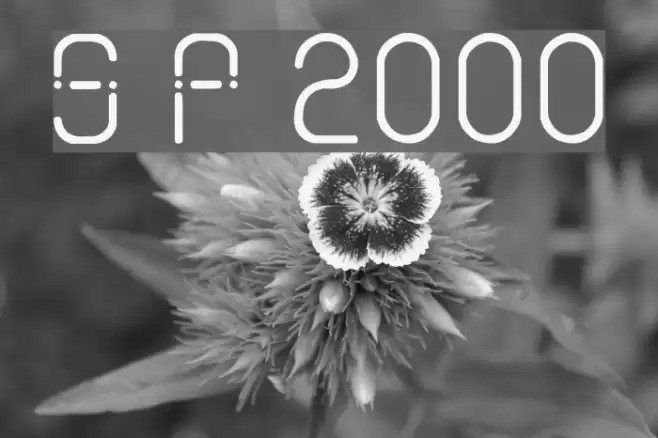 Sans Piru 2000 Fonte examples