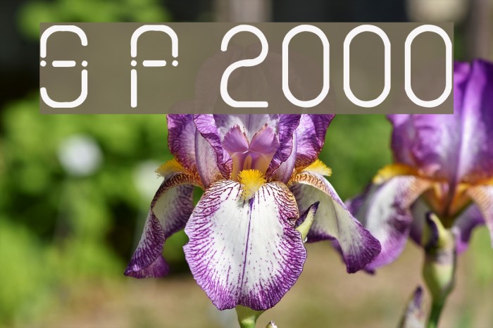Sans Piru 2000 Caratteri examples