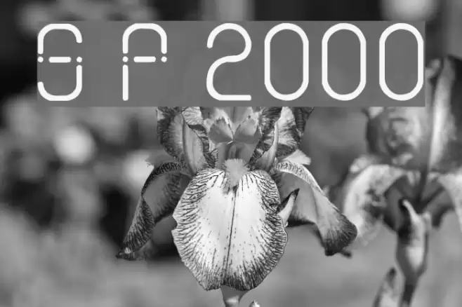 Sans Piru 2000 Fonte examples
